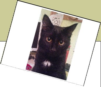 Bild : Blacky